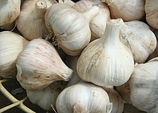 A photo of about a dozen pieces of garlic.