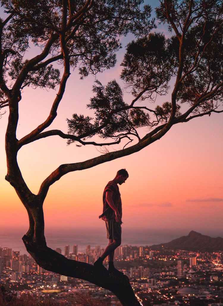 a photography of a man standing on a tree