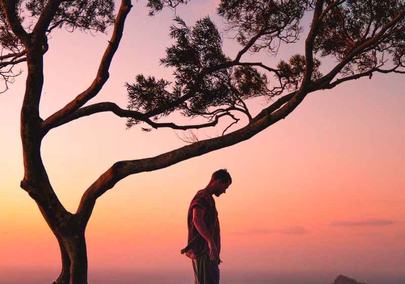 a photography of a man standing on a tree