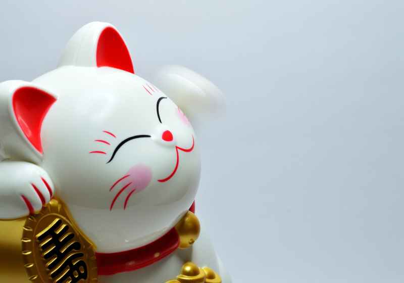 japanese lucky coin cat
