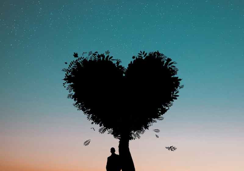 silhouette photo of man leaning on heart leaf shape tree during dawn