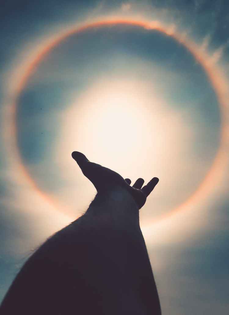 left human hand photo