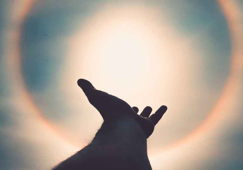 left human hand photo