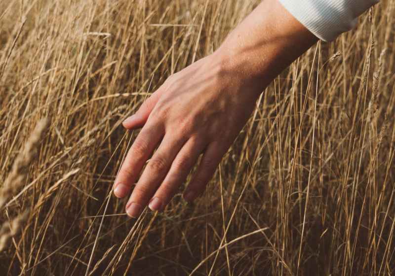 crop person in dried grass