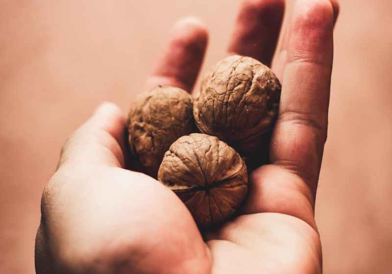 three walnuts on left palm