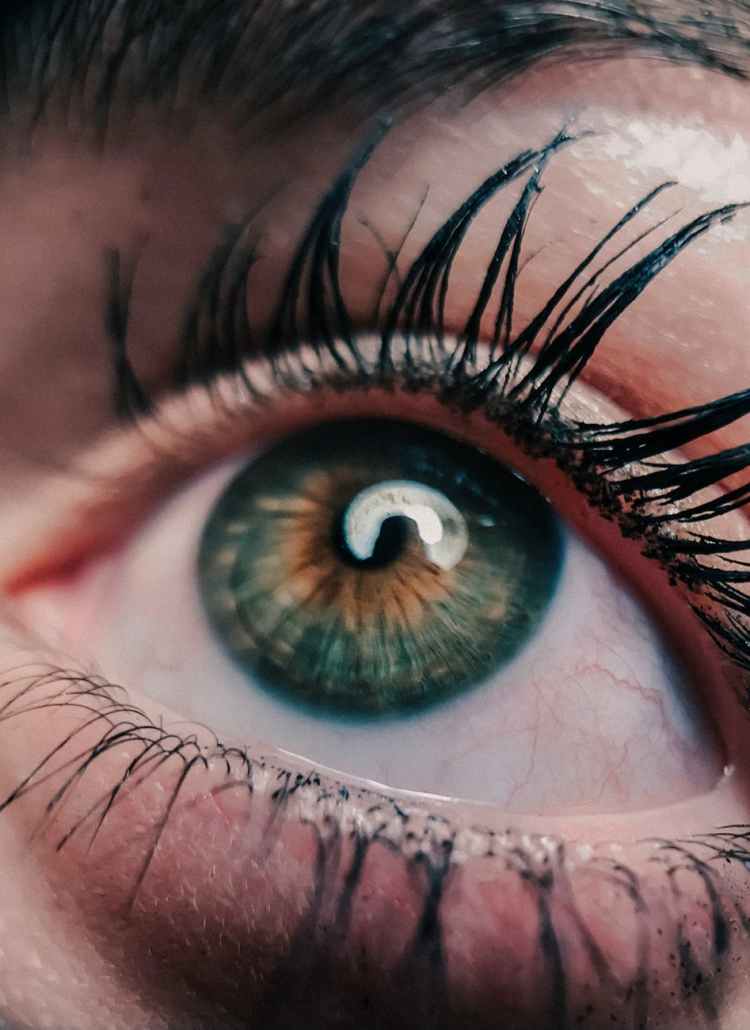 human eye