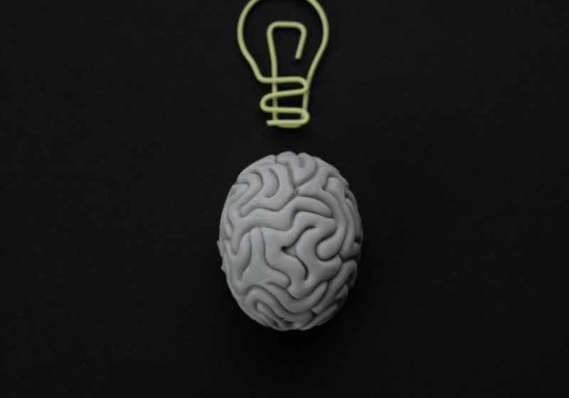 brain shape eraser and a paper clip