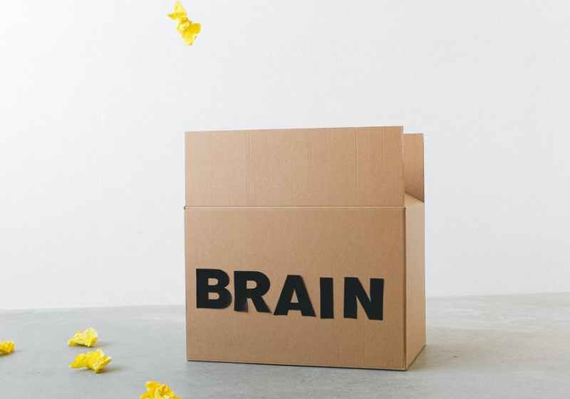 brain inscription on box under flying paper pieces