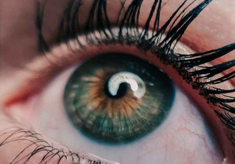 human eye