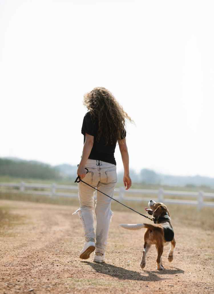unrecognizable female owner walking with dog in countryside