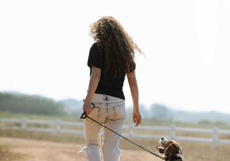 unrecognizable female owner walking with dog in countryside