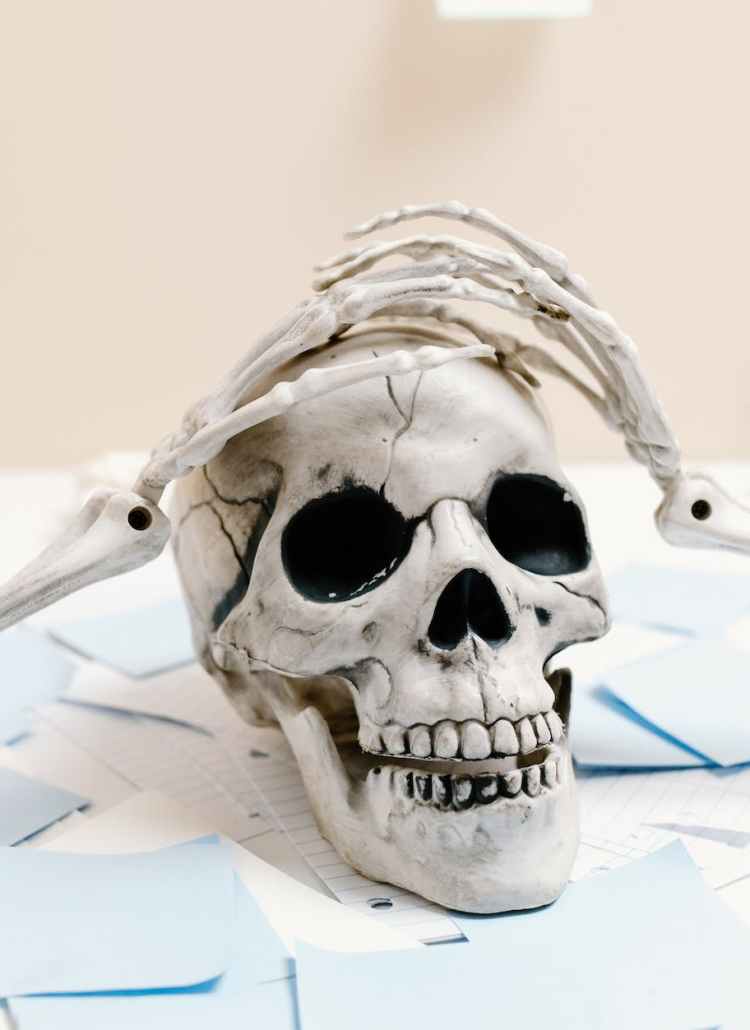 white skull on white paper