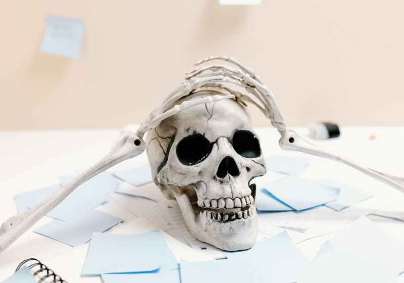white skull on white paper