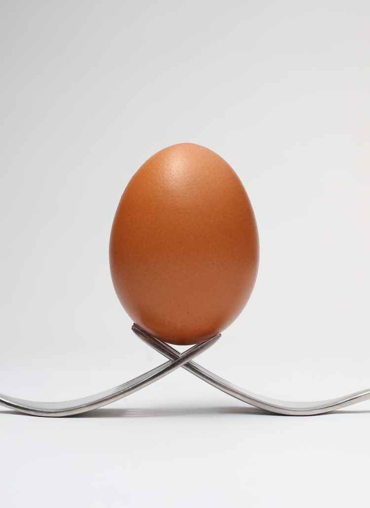 brown egg