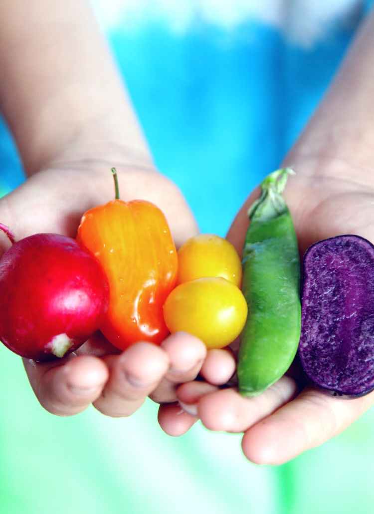 tilt shift lens photography of five assorted vegetables