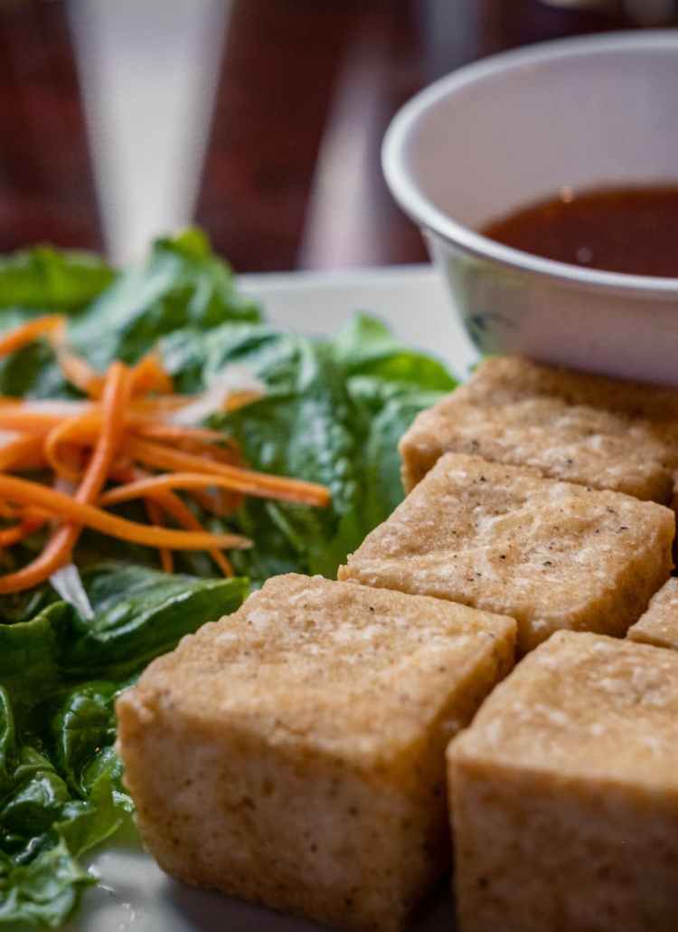 a close up shot of fried tofu