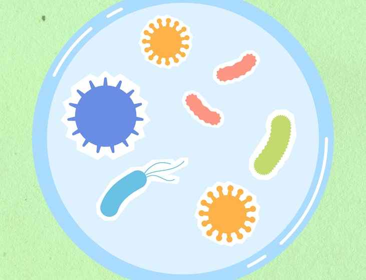 cutout paper composition of cell with bacteria and viruses