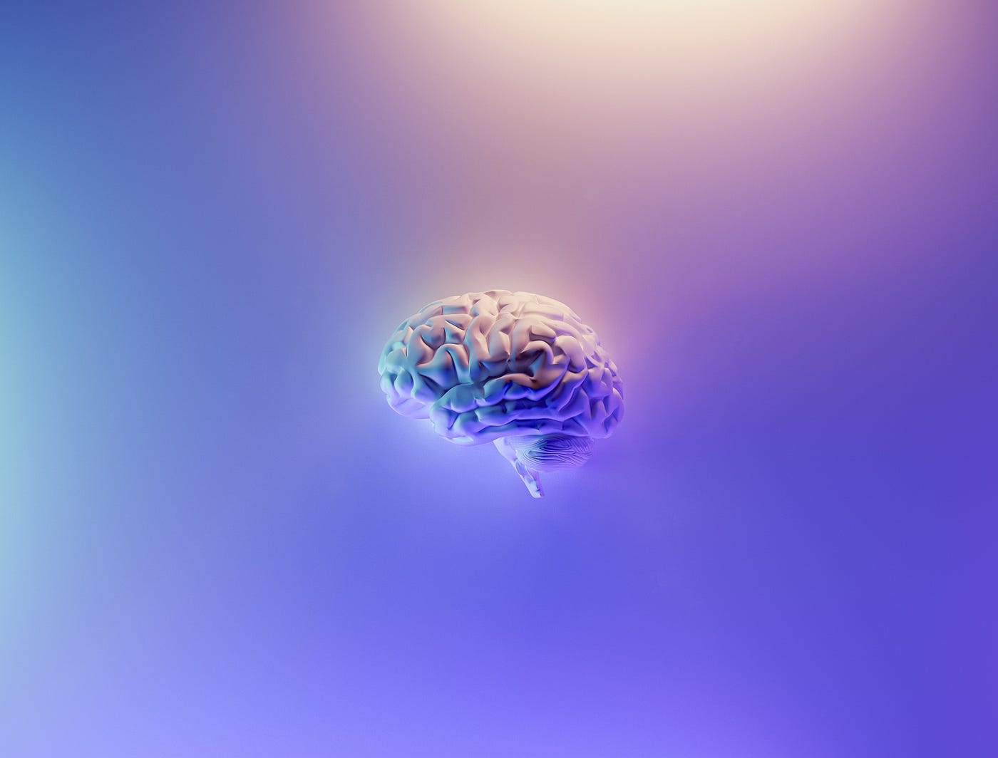 A brain floats against a purple background. The outsized performance of super-agers (compared to typical older adults) may be the product of better memory. It may also reflect differences in executive function, motivation, and persistence in the face of difficulty.