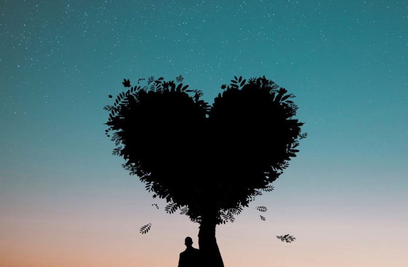 silhouette photo of man leaning on heart shaped tree