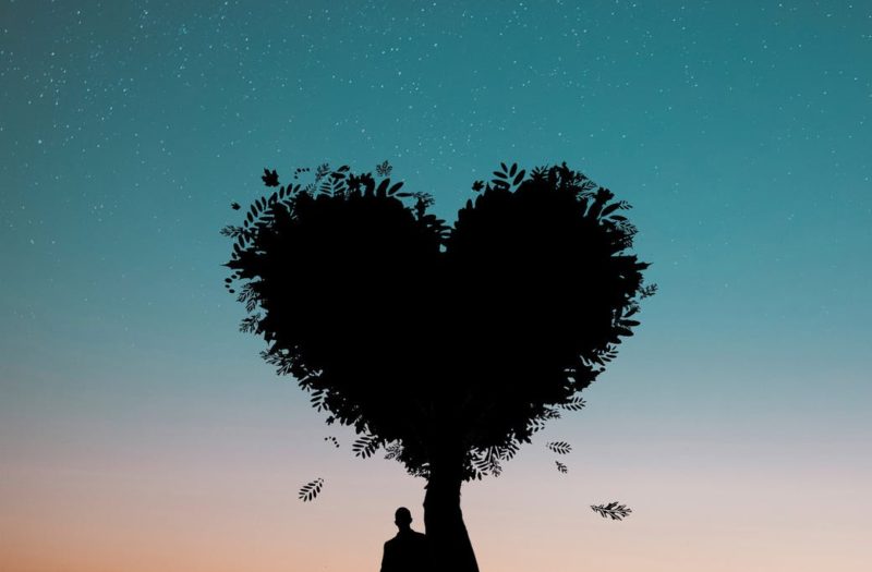 silhouette photo of man leaning on heart leaf shape tree during dawn