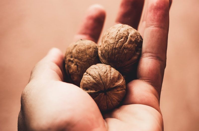 three walnuts on left palm